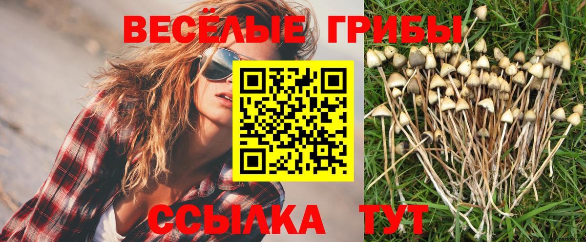 Галлюциногенные грибы Magic Shrooms  купить закладку  Кизилюрт  Вход с VPN 
