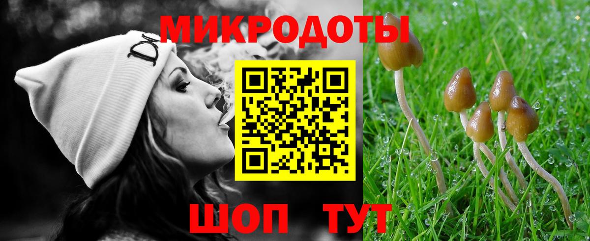 Псилоцибиновые грибы GOLDEN TEACHER Кизилюрт